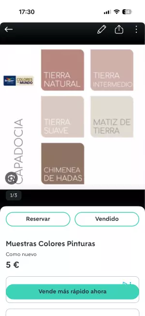 Pintor económico