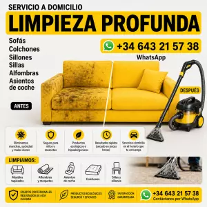 Limpieza de sofás