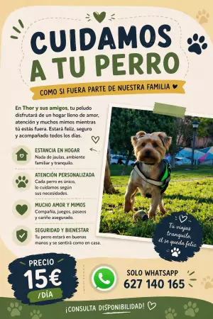 Cuidado y paseo de perros