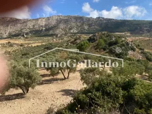 Undeveloped Land en Ronda