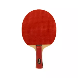 RAQUETA TENIS DE MESA SOFTEE 'P030'