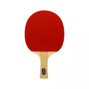 RAQUETA TENIS DE MESA SOFTEE 'P900 PRO'