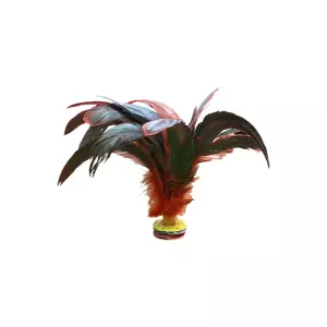 LOTE 6 INDIAKAS FÚTBOL PLUMA DARK