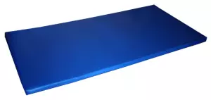 COLCHONETA REFORZADA 200 X 100 X 10CM DENSIDAD 150 (FUNDA IGNIFUGA SIN CANTONERAS)