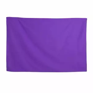 TOALLA MICROFIBRA SOFTEE 1,40X0,7M COLOR MORADO
