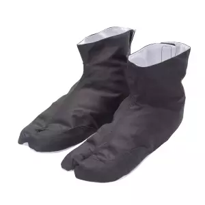 Tabis Ninja Interior. 38/39#