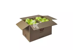 PELOTA TENIS WILSON TRINITI CLUB, CAJA DE 72 PELOTAS