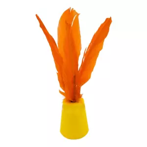 INDIAKA