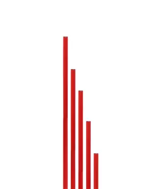 PICA PVC - ROJO, 160CM