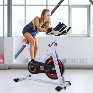 Bicicleta Estática Bicicleta de Fitness Pantalla LCD Asiento y Manillar Ajustable Resistencia Regulable Carga 120kg 107x48x100cm Acero Blanco