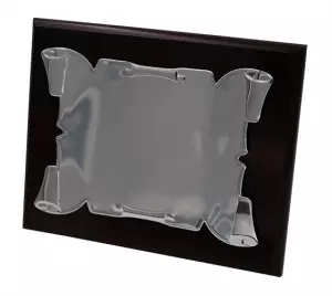 PLACA HOMENAJE DIONE PERGAMINO  - PLATA, 24X19CM