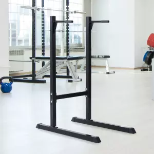 Estación Dip de Musculación Negro Acero Hasta 120kg