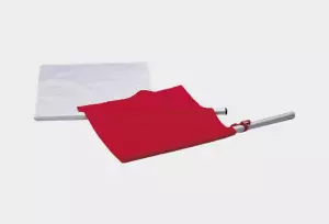 Bandera juez de salida