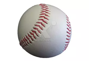 Pelota Beisbol Competicion 9