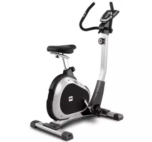 Bicicleta Estática BH Artic