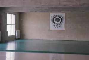 Superficie tatami artes marciales