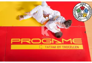 TATAMI OFICIAL EDUCACION TIS JUDO 200 X 100 X 4 CM