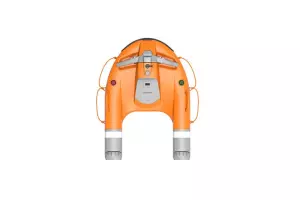 Dolphin 3 Plus salvamento