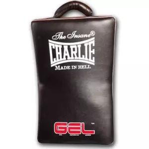 Escudo curvo Gel 55X35X12 CHARLIE