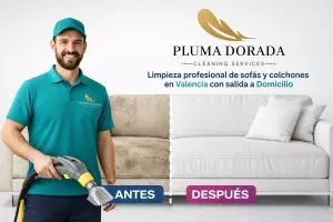 Limpieza de Sofas y Colchones Dezenfectacion a Domicilio