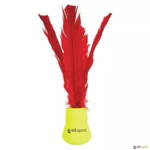 INDIACA