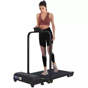Cinta de Correr Cinta de Andar Plegable 2,5 HP con Pantalla LED Velocidad Ajustable Max. 10 km/h Control Remoto Negro