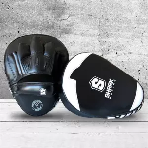 Manoplas Entrenamiento de Boxeo  BOXING VERSUS II