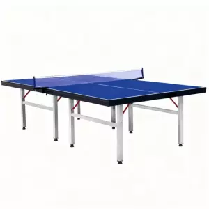 MESA TENIS DE MESA EXTERIOR COLORADO AZUL PING PONG
