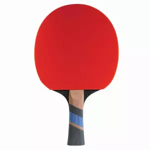 Pala Ping Pong Cornilleau Sport 1000 Excell Carbon 411000