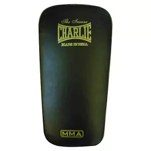 Pao Recto Entrenamiento Muay Thai MMA CHARLIE X