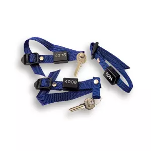 PULSERA TAQUILLA ANCHO 15 m/m. HEBILLA Y REMACHE