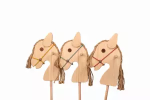 Caballo escoba rústico