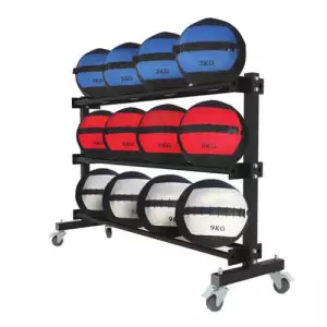 BALONES MEDICINALES (ruedas) SOPORTE