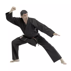 Karate Gi. Kenpo. Entrenamiento
