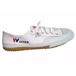 Zapatillas Wushu o Taichi blancas