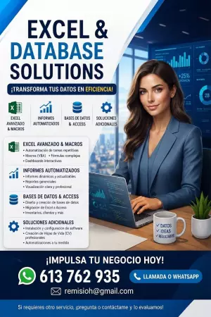 Expertos en Excel Avanzado, Macros, Access e Informes
