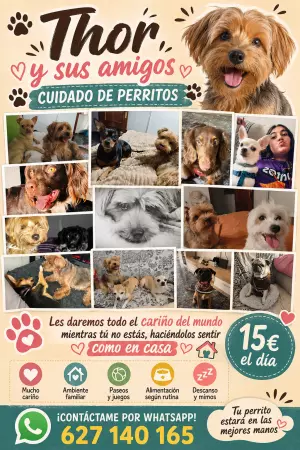 Thor y sus Amigos  "Cuidado de perritos)