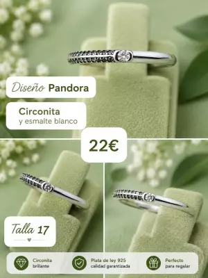 Complementos anillos