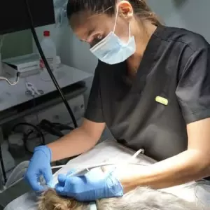 CONTENIDOS PARA TU CAFETERIA (INSTAGRAM)