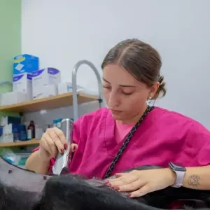 CREACIÓN DE CONTENIDOS PARA VETERINARIAS