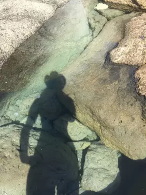 MASAJE LINGAM