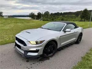 En venta Ford Mustang Cabrio 3.7 V6 306 Cabrio Roush Edition