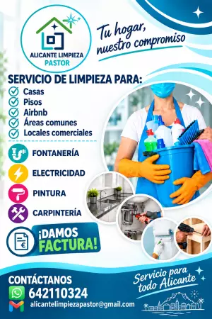ALICANTE LIMPIEZA PASTOR