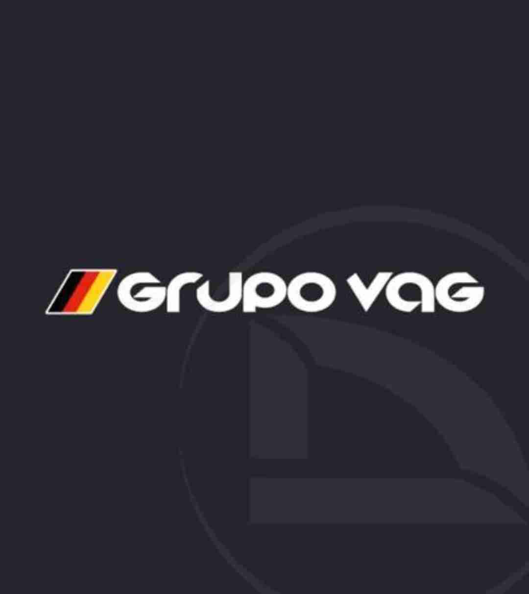 PROGRAMACION GRUPO VAG