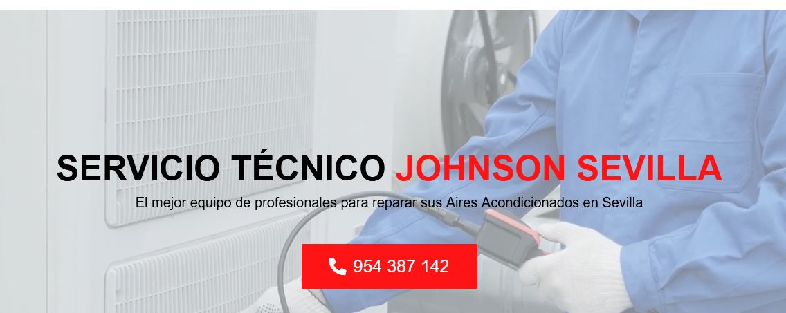 Servicio Técnico Johnson Sevilla 954341171
