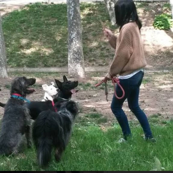 Cuidadora de perros Terrassa