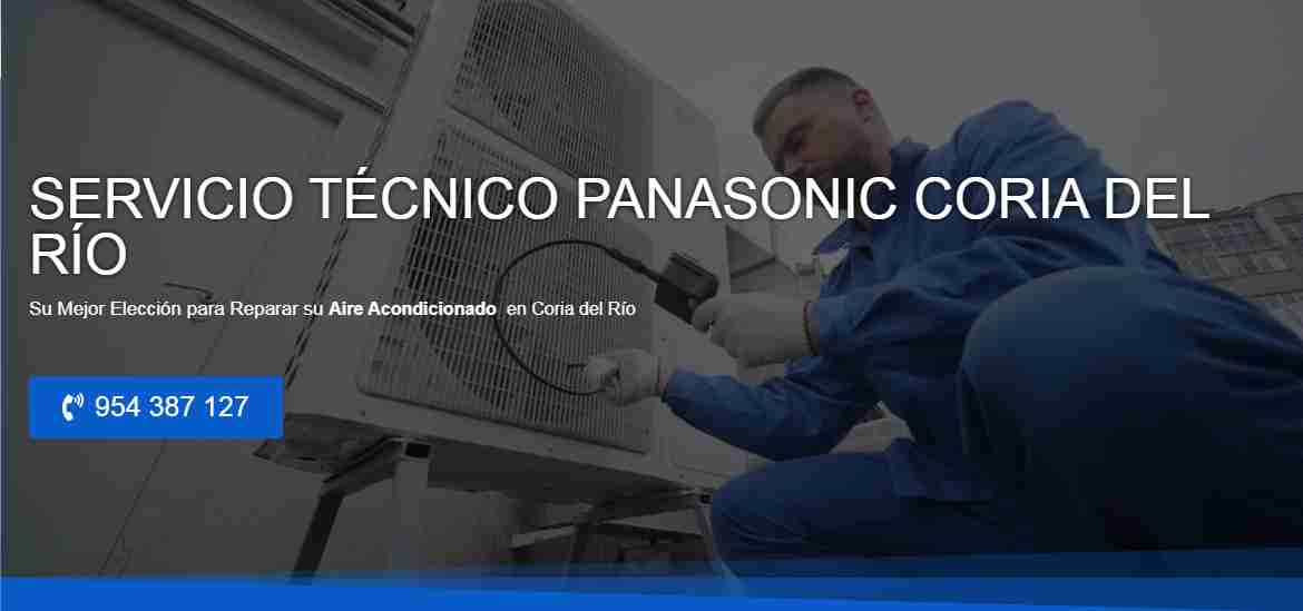 Servicio Técnico Panasonic Coria del Río 954341171