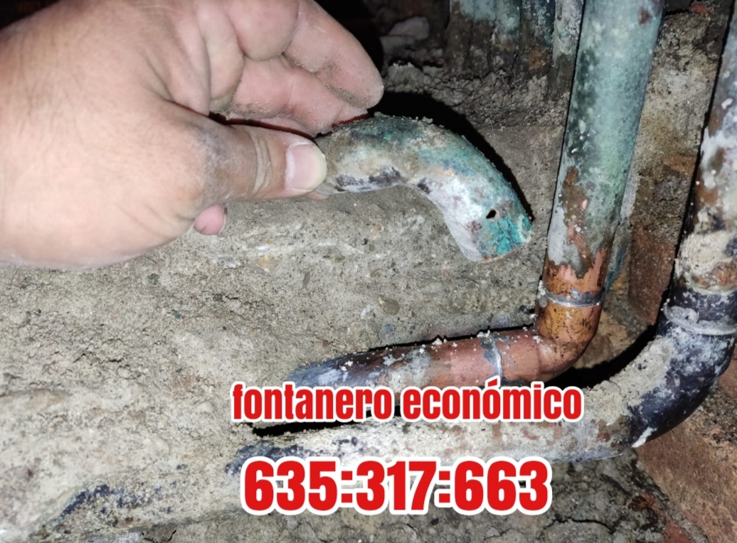 Fontanero económico