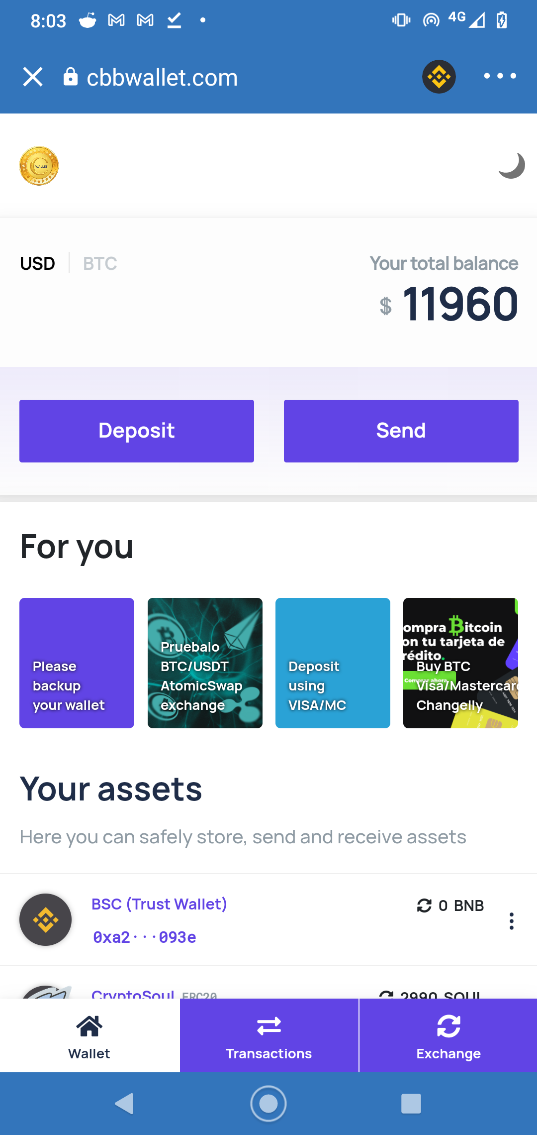 Caribbean wallet