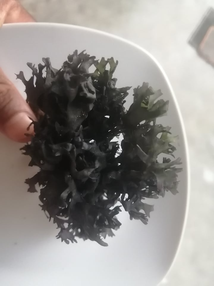 chondrus crispus irishmoss seamoss